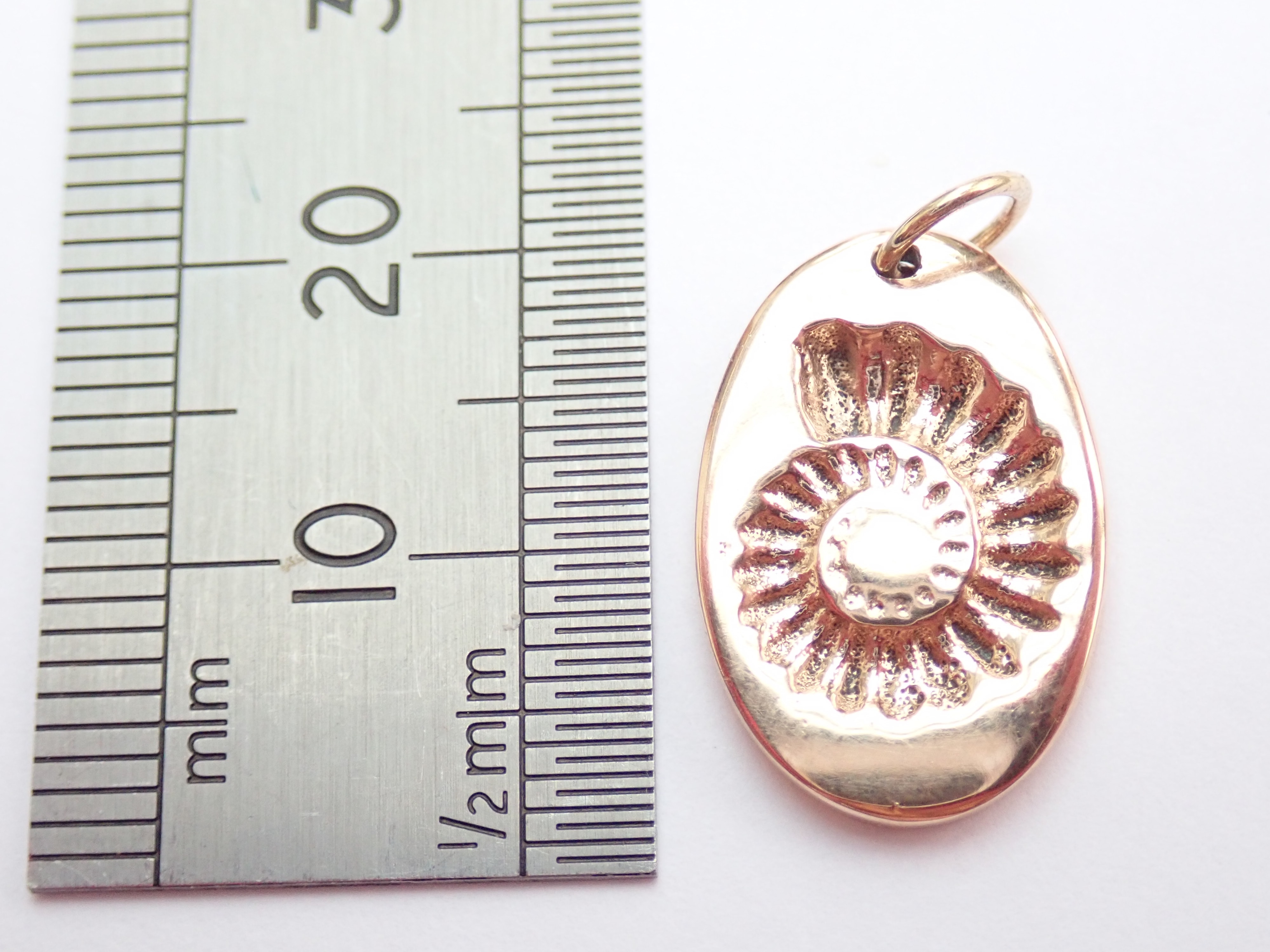 ammonite jewelry ammonite jewelry