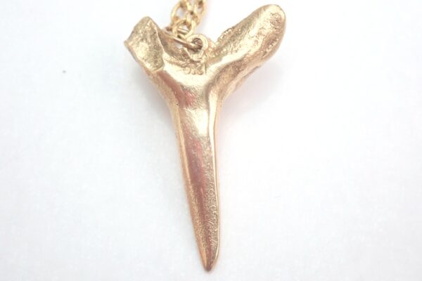 Handmade! Mako Shark Tooth Pendant Solid 9ct Gold 18 inch Chain