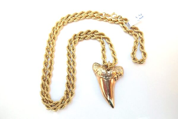 Stunning! Solid 9ct Great white Sharks Tooth 3.6cm long- 24inch Rope chain