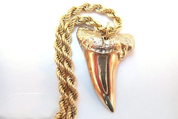 Stunning! Solid 9ct Great white Sharks Tooth 3.6cm long- 24inch Rope chain